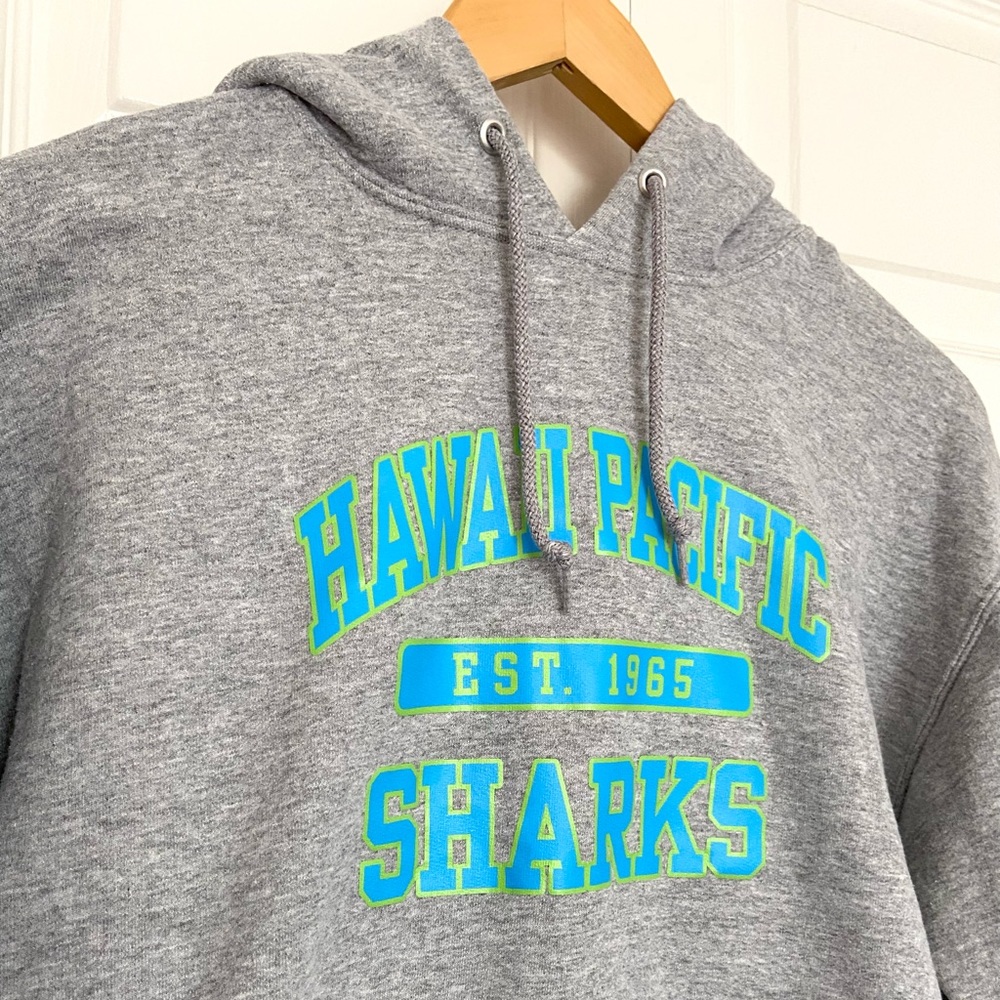 College Sweatshirt Hoodie